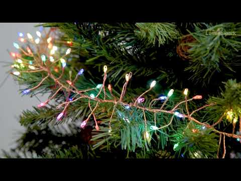 3m 600 RGB MicroLEDs Cluster Lights 2 3m 600 RGB MicroLEDs Cluster Lights 2