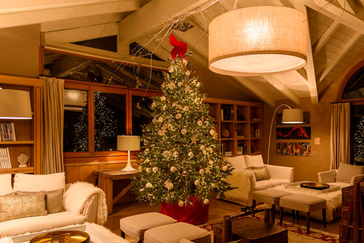 Combien de lumières pour un sapin dans le salon Combien de lumières pour un sapin dans le salon