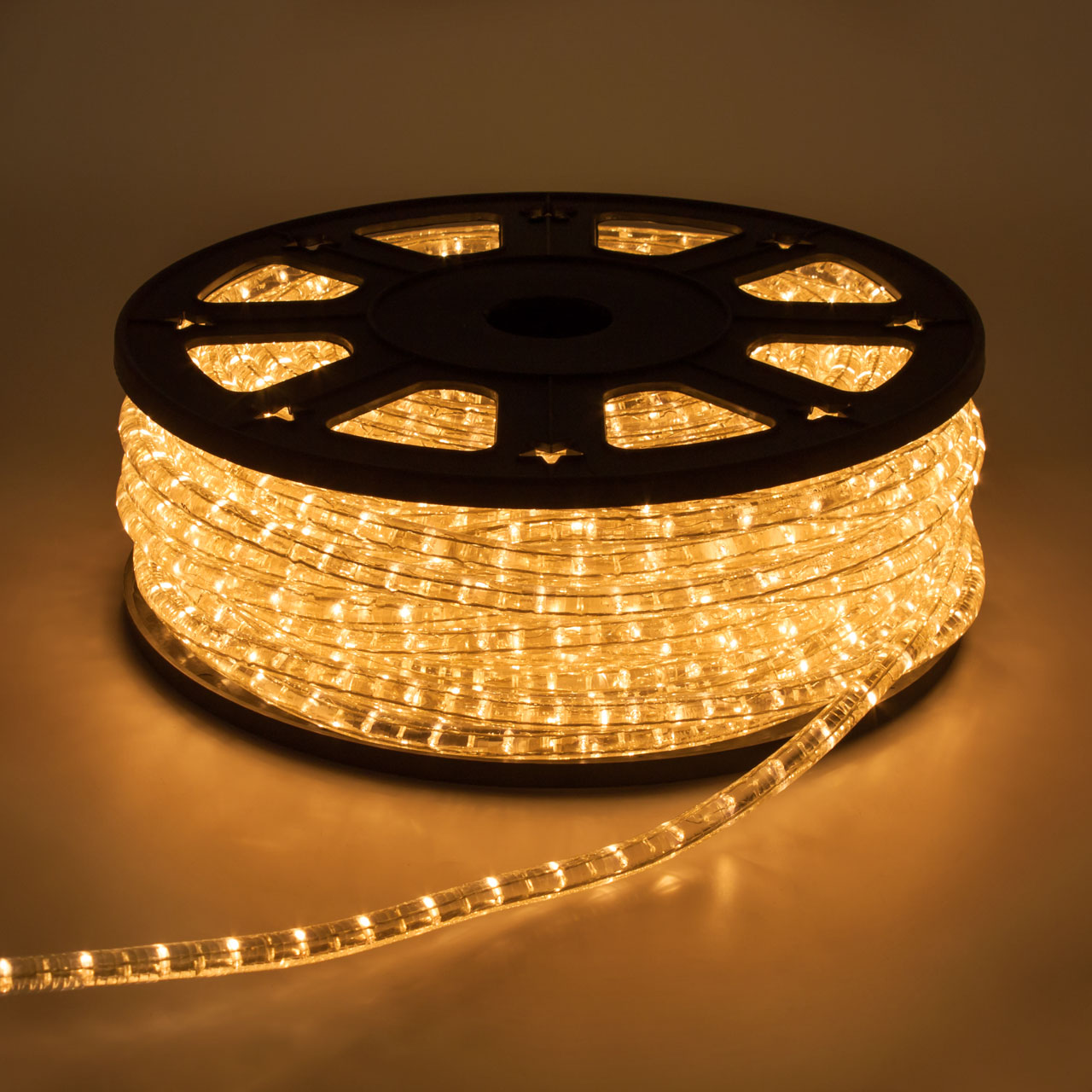 Glühlampen-Lichtschlauch 50 m, klar 1 Glühlampen-Lichtschlauch 50 m, klar 1