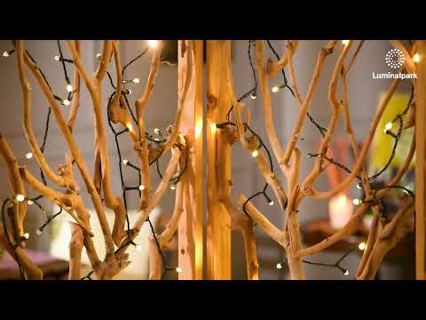 100m, 1000 Warm White Led Convex Ø 8 mm String Lights, Green Cable 2 100m, 1000 Warm White Led Convex Ø 8 mm String Lights, Green Cable 2