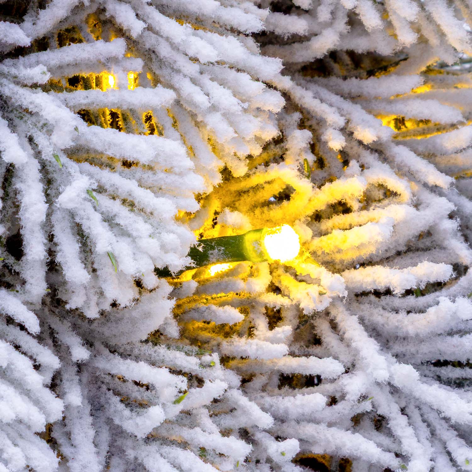 Corona Alpino in finto pino a batteria, floccato bianco, Ø 60 cm, 80 led integrati bianco caldo 6