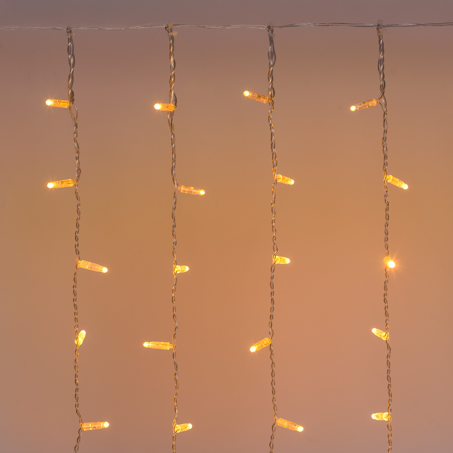 Vorhanglichter Connect ProLine 36V, 1 x h 1 m, 80 Maxiled warmweiß, transparentes Kabel, erweiterbar 4