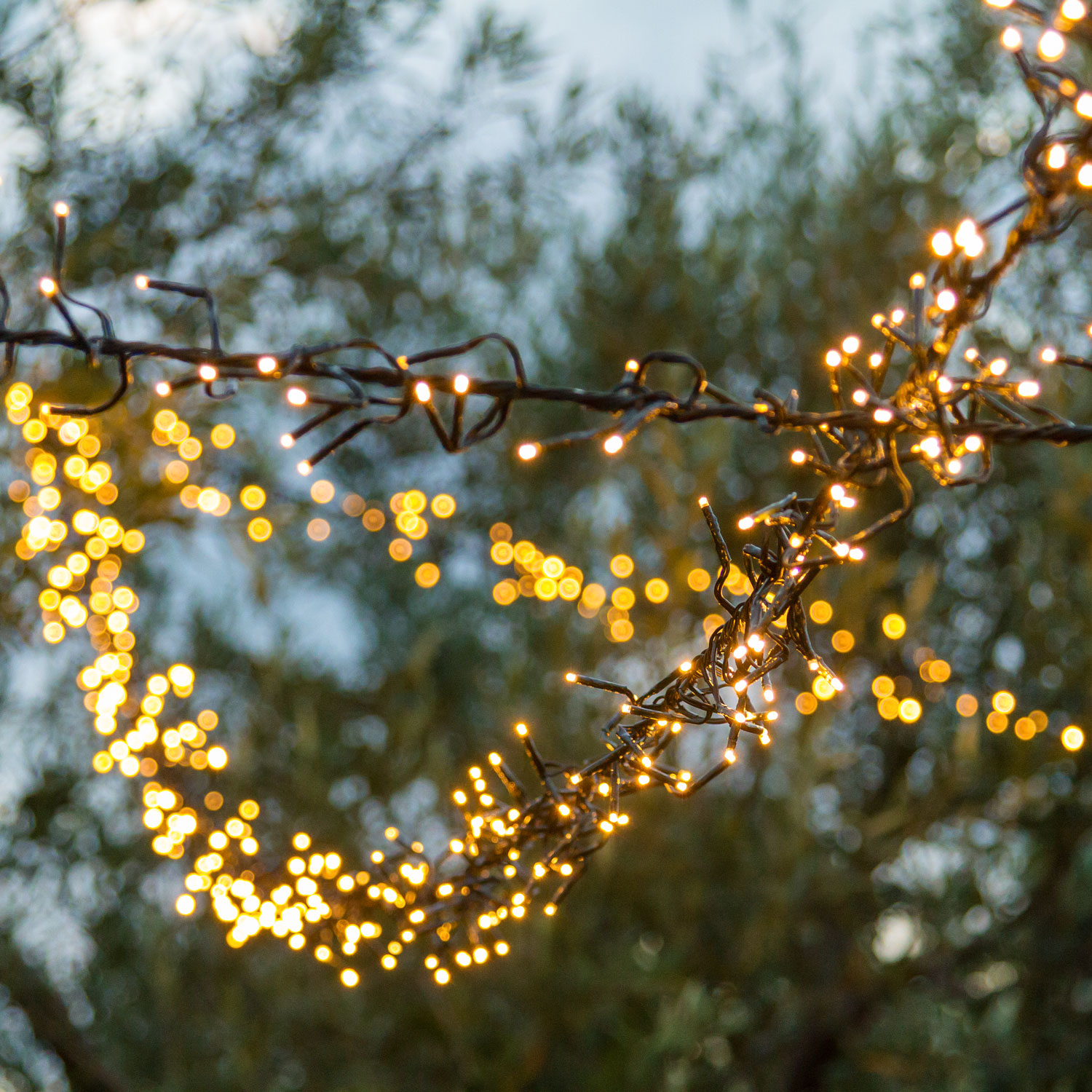 Festón de luces Led cálido 7,5m 11 Festón de luces Led cálido 7,5m 11