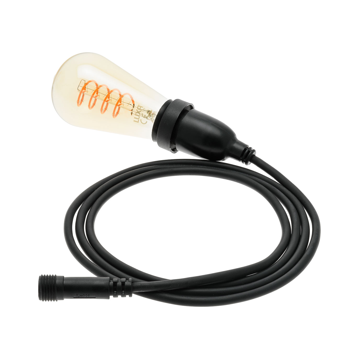 Lampadina da 4 Watt Edison Ø 64 mm a sospensione, led a spirale, 3 metri di cavo nero Lampadina da 4 Watt Edison Ø 64 mm a sospensione, led a spirale, 3 metri di cavo nero