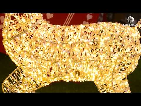 Renna con zampa alzata 3D, h 80 cm, microled bianco caldo e freddo, uso interno 2
