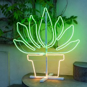 Plante grasse décorative en pot en tube lumineux effet néon 81 cm, led blanc chaud et vert