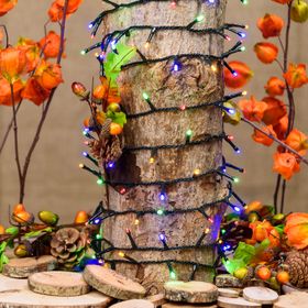 Guirlande 24,5 m, 600 led multicolore