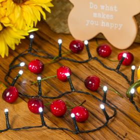Lichterkette 19,5 m, 320 LEDs kaltweiß