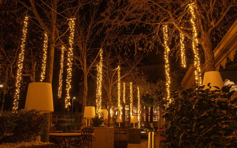 Weihnachtsbaum im Freien: Lichter richtig anbringen