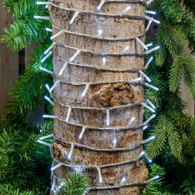 Catena 25,7 m, 360 miniled bianco freddo, cavo trasparente