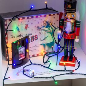Guirlande 34,1 m, 480 miniled multicolor, câble vert