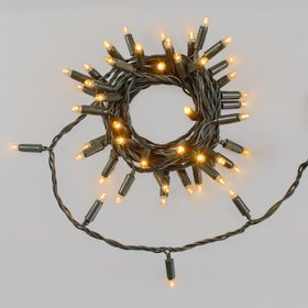 5 m Warm White Connect ProLine 36V String Lights, 50 maxiLEDs, green cable, connectable